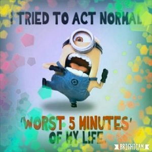 Meet your Posher, Donna