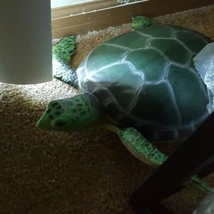 Meet your Posher, Victoria