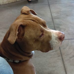 Meet your Posher, Angela n