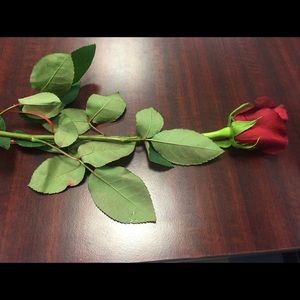 Meet your Posher, Olga