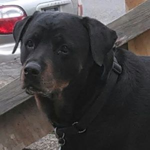 Meet your Posher, Candy