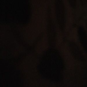 Tan Purse. Not authentic.