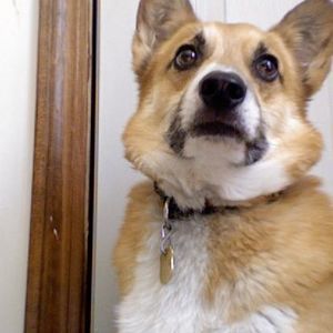 Meet your Posher, Jen-jen