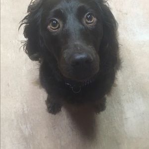 Meet your Posher, Dana