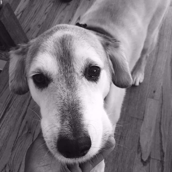 Meet Alli ❤️ - Picture 2 of 2