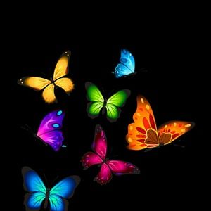 Meet your Posher, Hernandez