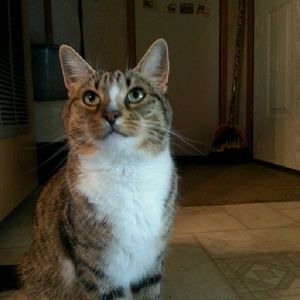 Meet your Posher, Betty