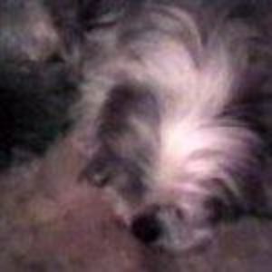 Meet your Posher, Wendy