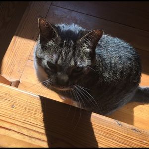 Meet your Posher, Dana