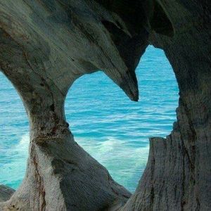 Meet your Posher, Tracie