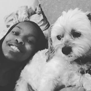 Meet your Posher, Dap dap