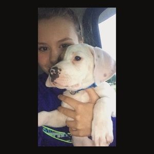 Meet your Posher, Alexis