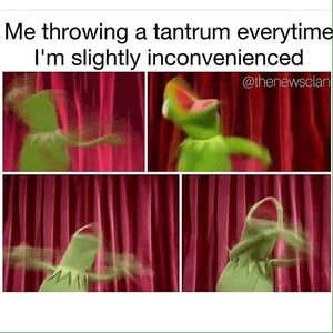 Meet your Posher, Erika