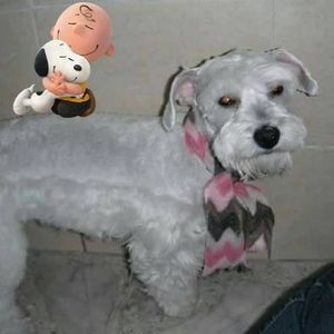 Meet your Posher, Isabella