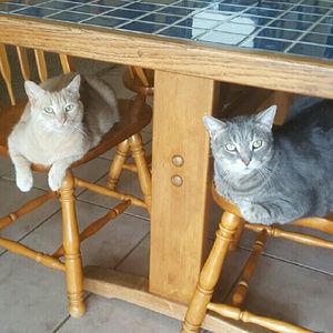 Meet your Posher, Barbara