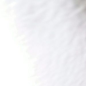 Meet your Posher, Yesenia