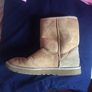Uggs used