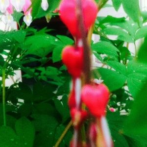 Meet your Posher, Colleen