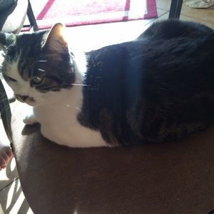 Meet your Posher, Mikayla