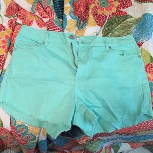 High waisted, one button teal/mint shorts