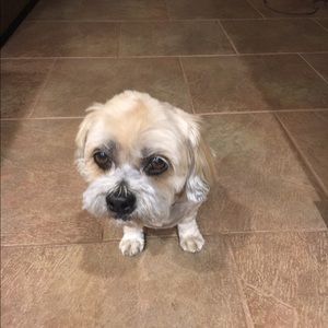 Meet your Posher, Mary