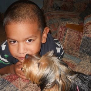 Meet your Posher, Silvia