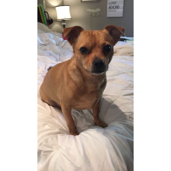 Meet Your Posher! - Picture 4 of 4