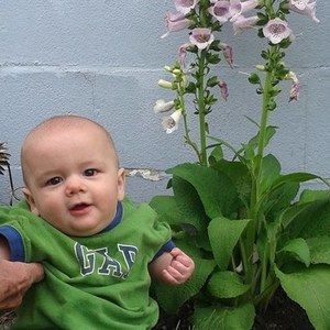 Meet your Posher, Kimberley