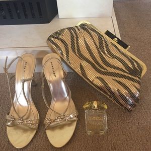 Bebe Mesh Tiger Frame Clutch