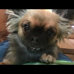 Meet your Posher, Christy