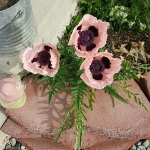 Meet your Posher, Diana