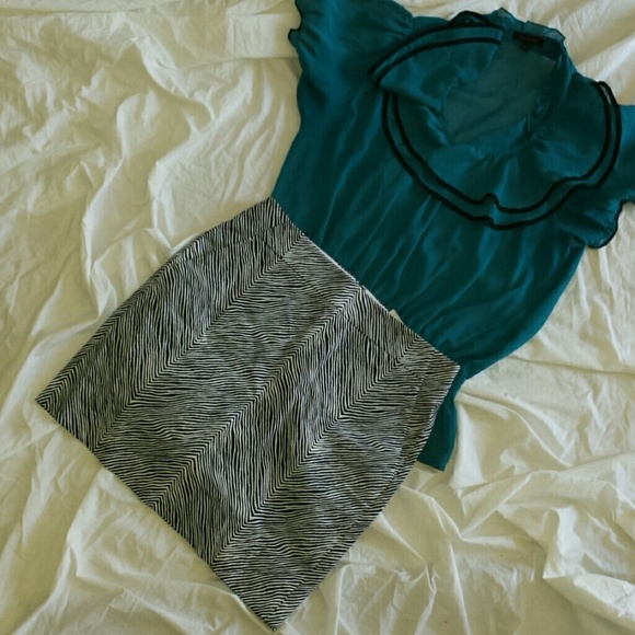 NWT Ann Taylor Skirt