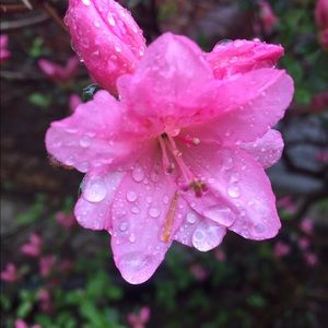 Meet your Posher, Maci