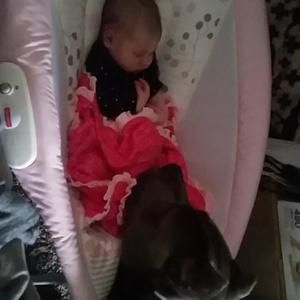 Meet your Posher, Stefanie