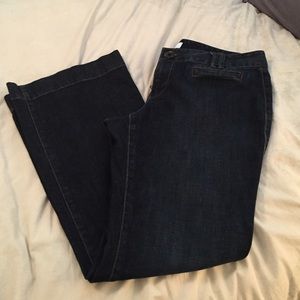 Stylish Ann Taylor LOFT Petite Denim: Size 10P