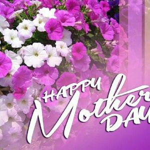 Meet your Posher, Ivette