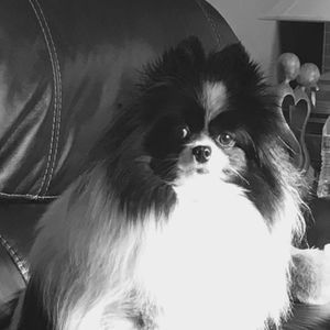 Meet your Posher, Leslie