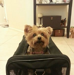 Meet your Posher, June