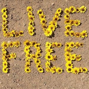 Meet your Posher, Tabitha