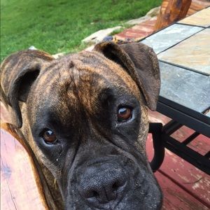 Meet your Posher, Debbie