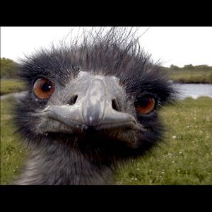 Meet your Posher, Jhea