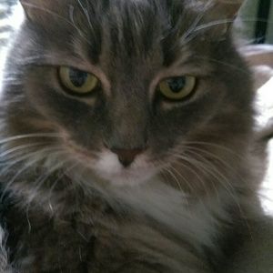 Meet your Posher, Katherine