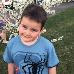 Meet your Posher, Evelina