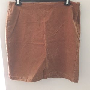 Brown Skirt