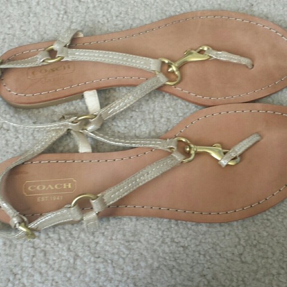 Gold coach flip floo.