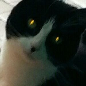 Meet your Posher, Faith