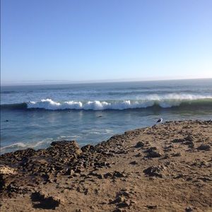 Meet your Posher, Alicia