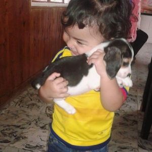 Meet your Posher, Rosa emilia