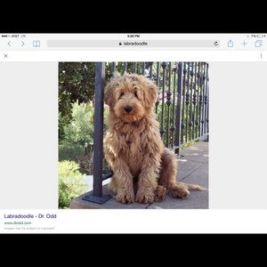 Meet your Posher, Julie