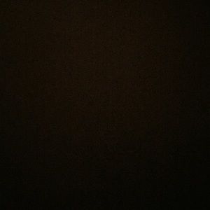 Meet your Posher, Raelee